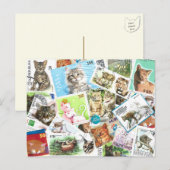 internationaal Briefkaart voor postzegels voor kat (Voorkant / Achterkant)