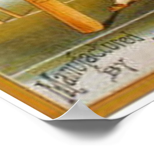 International Cricket Bat Poster (Hoek)