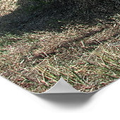 INTERNATIONAL HARVESTER FIRE TRUCK c. 1946 Poster (Hoek)