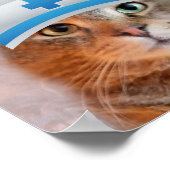 International Nursing Day Cute Cat Poster (Hoek)