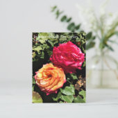 International Roos Test Garden, Portland, Oregon P Briefkaart (Staand voorkant)