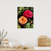 International Roos Test Garden, Portland, Oregon Poster (Keuken)