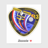 International Space Station Expedition ISS-13 Sticker (Vel)