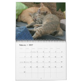 Internationale Cats Kalender (Feb 2027)