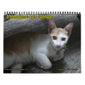 Internationale Cats Kalender (Hoes)