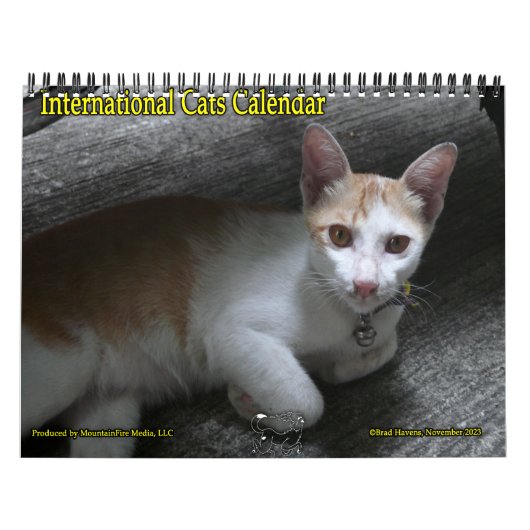 Internationale Cats Kalender (Hoes)