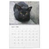 Internationale Cats Kalender (Mar 2026)