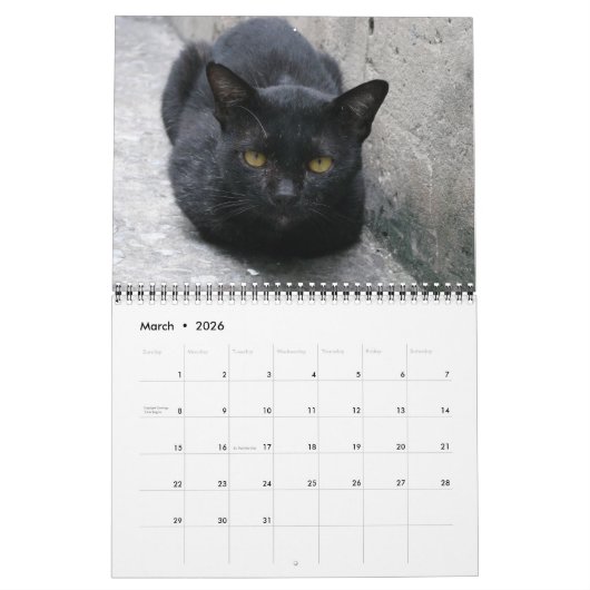Internationale Cats Kalender (Mar 2026)