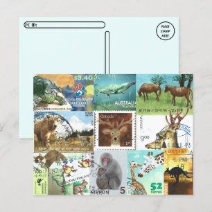 internationale collage van postzegels voor dieren briefkaart