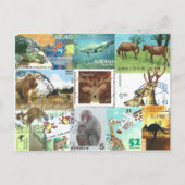 internationale collage van postzegels voor dieren briefkaart (Voorkant)