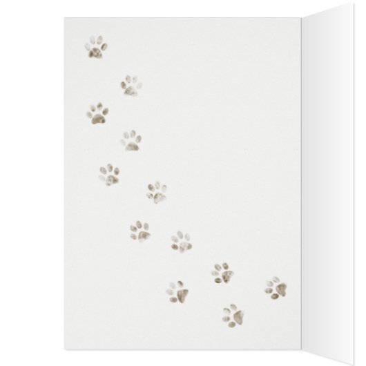 Internationale dag van de kat (Binnen (Links))