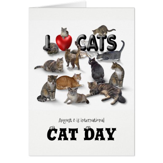 Internationale dag van de kat (Voorkant)