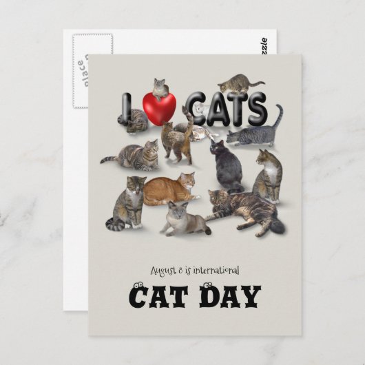Internationale dag van de kat briefkaart (Voorkant / Achterkant)