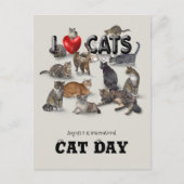 Internationale dag van de kat briefkaart (Voorkant)