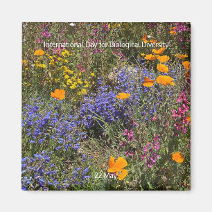 Internationale dag voor biodiversiteit magneet