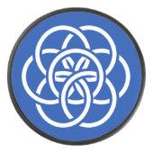 Internationale vlag van de planeet Aarde Hockey Puck (Voorkant)
