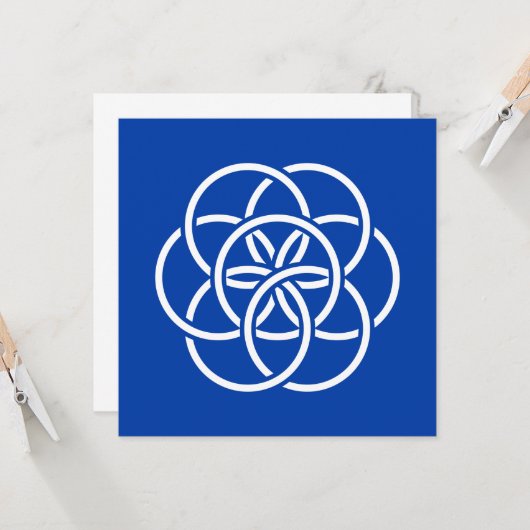 Internationale vlag van de planeet Aarde Kaart (Voorkant / Achterkant in situ)