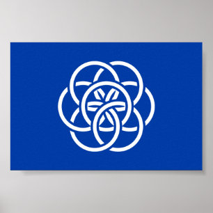 Internationale vlag van planeet Aarde Poster