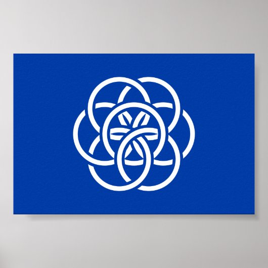 Internationale vlag van planeet Aarde Poster (Voorkant)