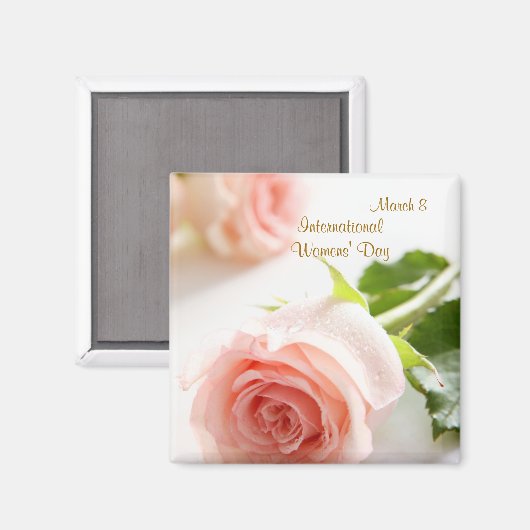 Internationale Vrouwendag. Wit roze roos Magneet (Voorkant / Achterkant)