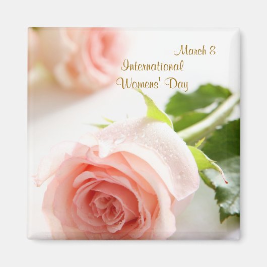 Internationale Vrouwendag. Wit roze roos Magneet (Voorkant)