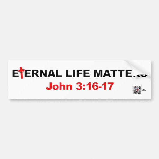 Interne levenskwesties bumpersticker (Voorkant)