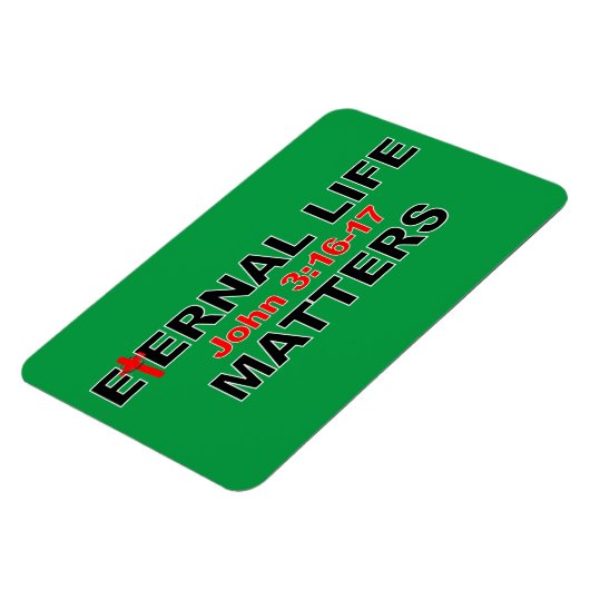 Interne levenskwesties magneet (Linkerzijde)