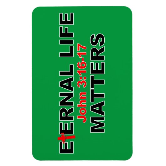 Interne levenskwesties magneet (Verticaal)