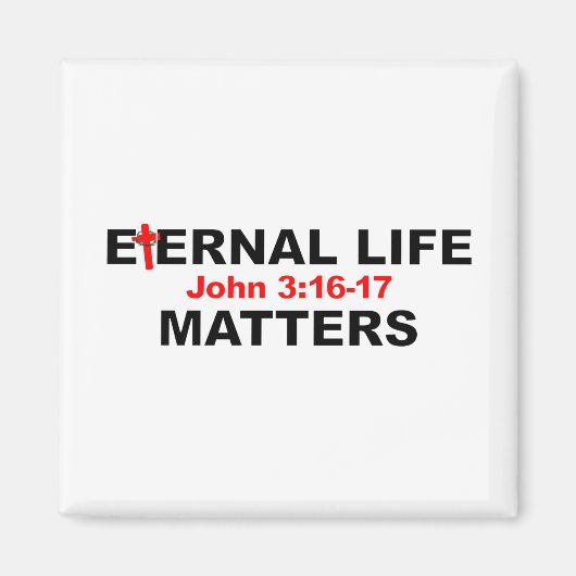 Interne levenskwesties magneet (Voorkant)