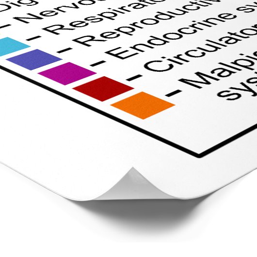 Interne morfologie van de mottenvlinder Lepidopter Poster (Hoek)