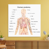 Interne Organen Menselijk Lichaam Anatomie Chart Canvas Afdruk (Insitu (Woonkamer))