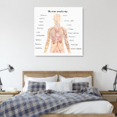 Interne Organen Menselijk Lichaam Anatomie Chart Canvas Afdruk (Insitu (Slaapkamer))