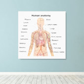 Interne Organen Menselijk Lichaam Anatomie Chart Canvas Afdruk (Insitu (Houten vloer))
