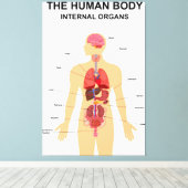 Interne organen van het menselijk lichaam canvas afdruk (Insitu (Houten vloer))