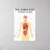 Interne organen van het menselijk lichaam canvas afdruk (Voorkant)