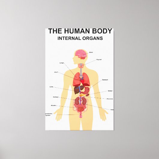 Interne organen van het menselijk lichaam canvas afdruk (Voorkant)