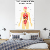Interne organen van het menselijk lichaam canvas afdruk (Insitu (Slaapkamer))