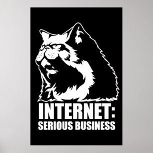 Internet: Serious Business (lolcat grappig shirt) Poster