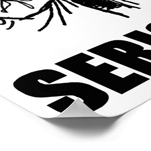 Internet Serious Business Poster (Hoek)