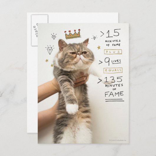 Internetkat-feestelijkheid Briefkaart (Voorkant / Achterkant)