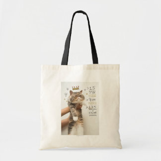 Internetkat-feestelijkheid Tote Bag