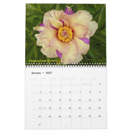 Intersectional Peony Calendar 2009 - Gepersonalise Kalender (Jan 2027)