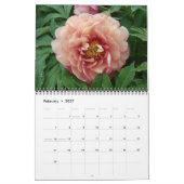 Intersectionele Peony-kalender 2010 Kalender (Feb 2027)