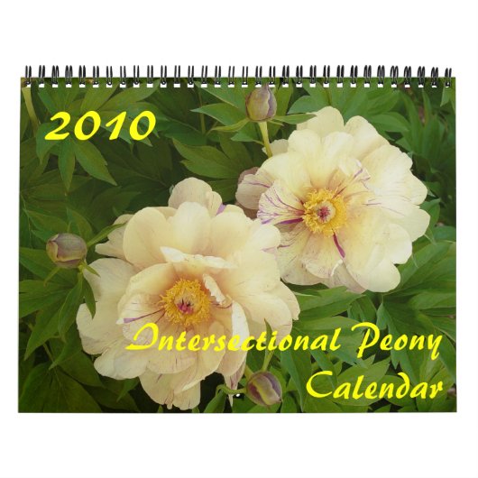 Intersectionele Peony-kalender 2010 Kalender (Hoes)