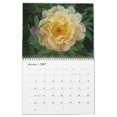 Intersectionele Peony-kalender 2010 Kalender (Jan 2027)