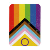 Intersekse-inclusieve Progress Pride-vlag Magneet (Verticaal)