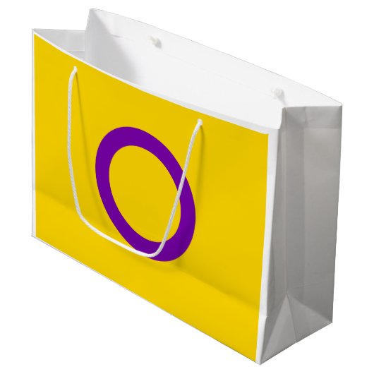 Intersekse trotsvlag groot cadeauzakje (Voorkant Gekanteld)