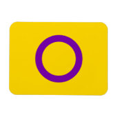 Intersekse vlag magneet (Horizontaal)