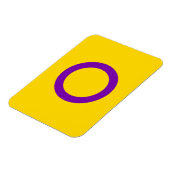 Intersekse vlag magneet (Linkerzijde)