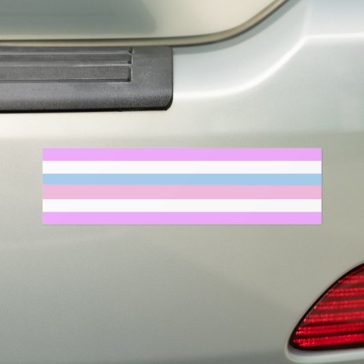 INTERSEX PRIDE FLAG BAR BUMPERSTICKER (Op auto)